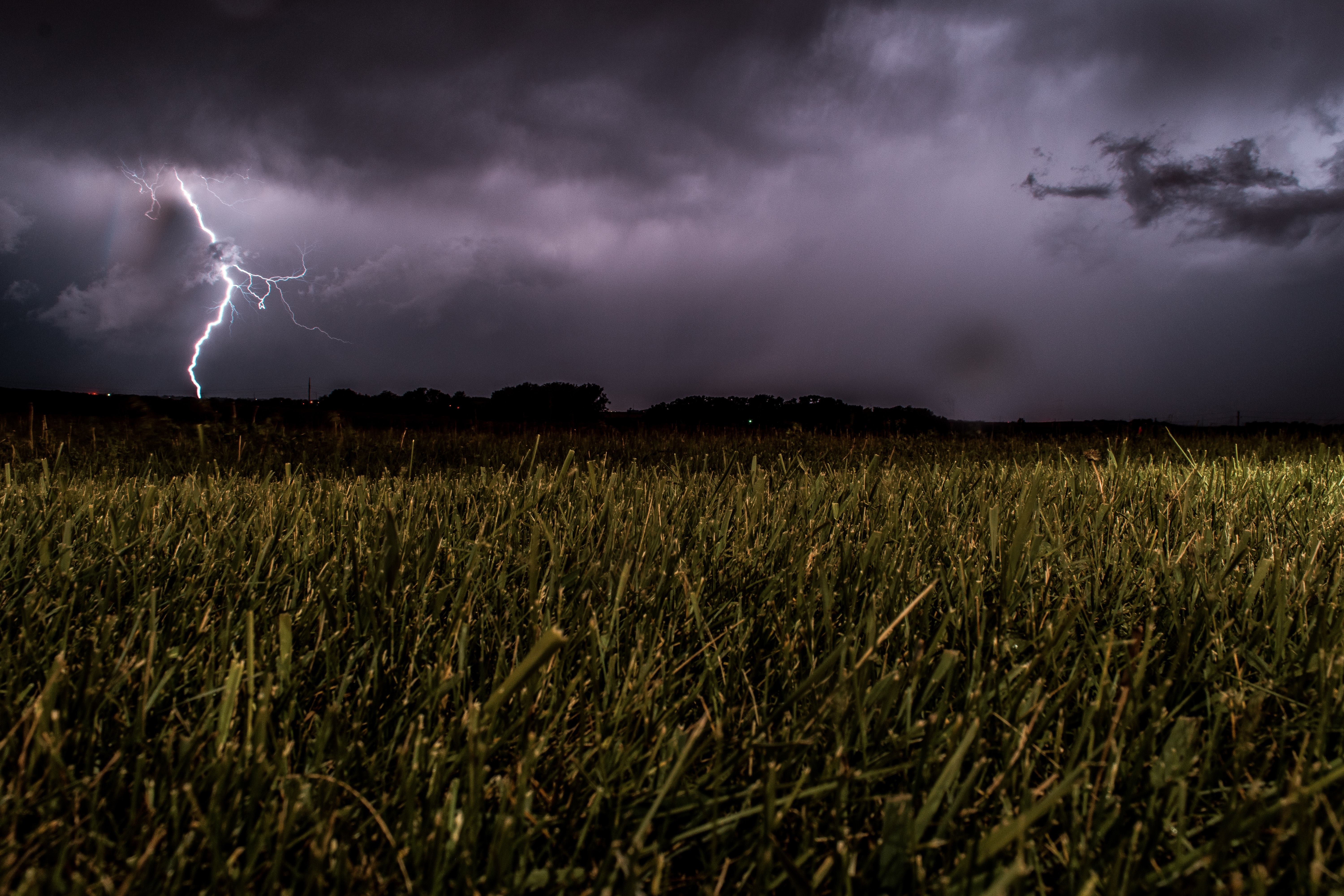 Dark sky. Lightning. Field of grass.